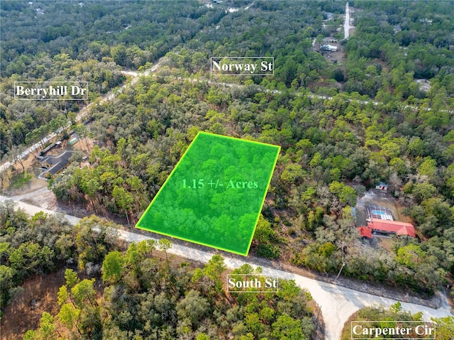 7075 S St, Webster FL, 33597 land for sale