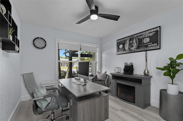 office featuring ceiling fan and light hardwood / wood-style floors