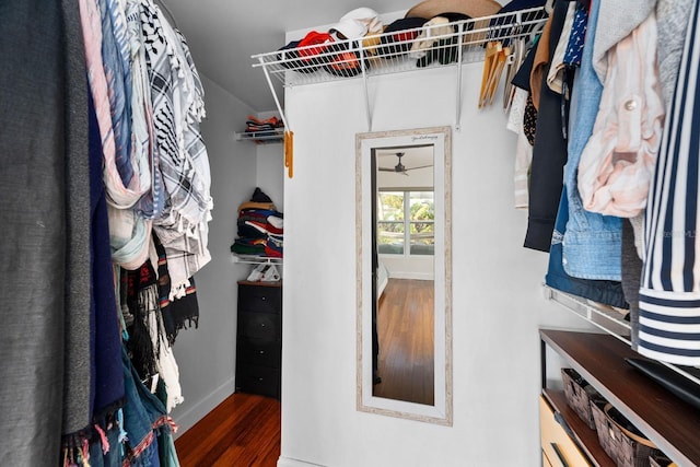 spacious closet featuring dark wood-type flooring