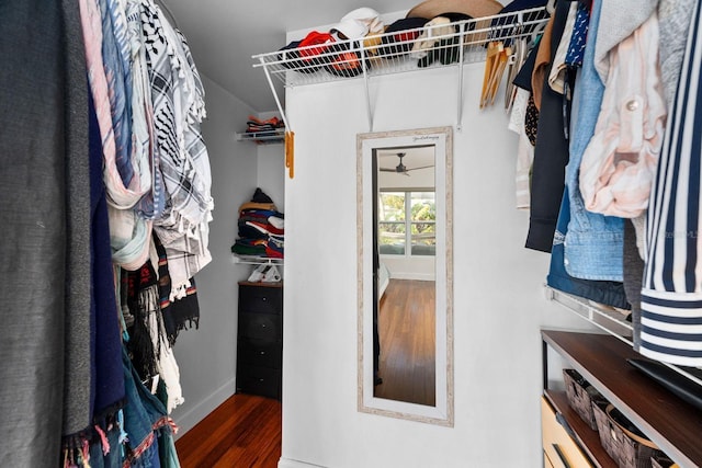 walk in closet with ceiling fan and wood finished floors