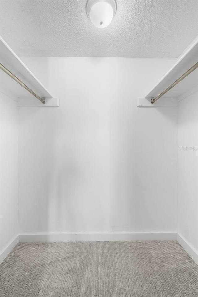 walk in closet featuring light carpet