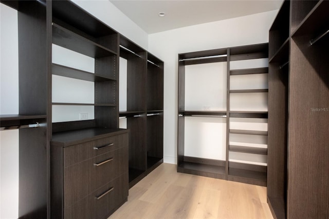 spacious closet with light hardwood / wood-style floors