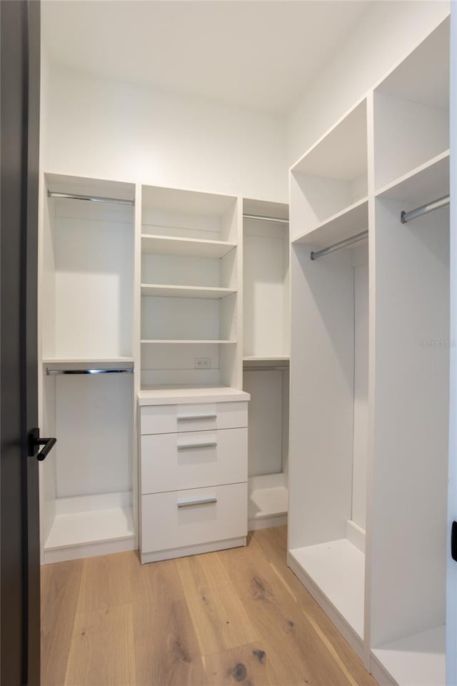 spacious closet with light hardwood / wood-style flooring