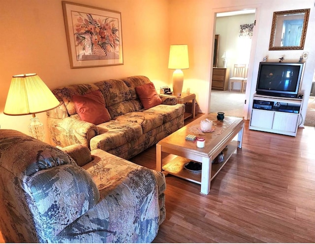 living room featuring dark hardwood / wood-style floors