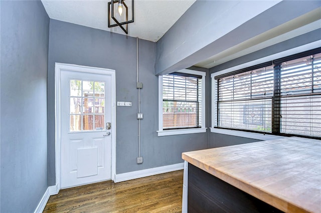 entryway with a wealth of natural light and dark hardwood / wood-style flooring