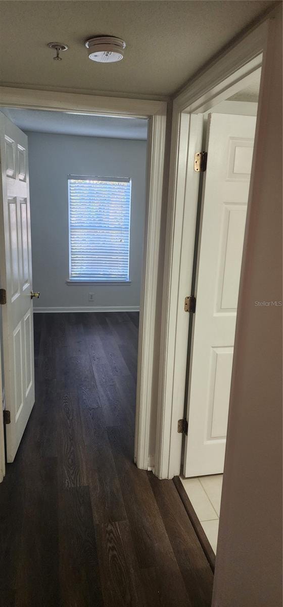 hall featuring wood-type flooring