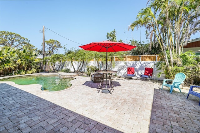 1309 Nokomis Ave S, Venice, FL 34285 - view of pool featuring a patio and a fenced backyard