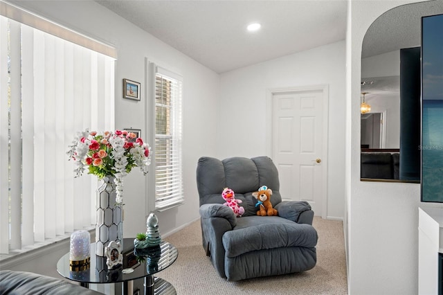 sitting room with lofted ceiling and carpet flooring