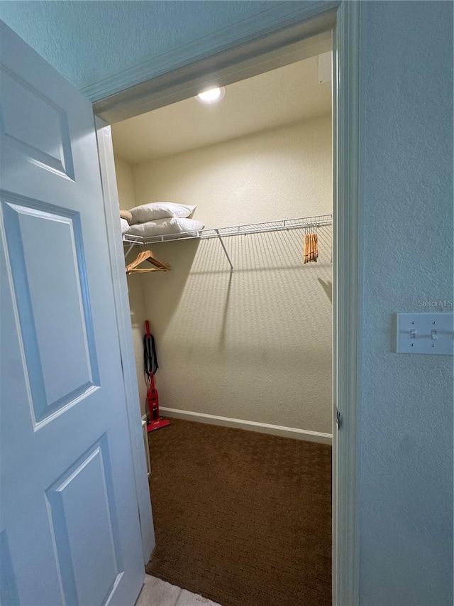 spacious closet with carpet flooring