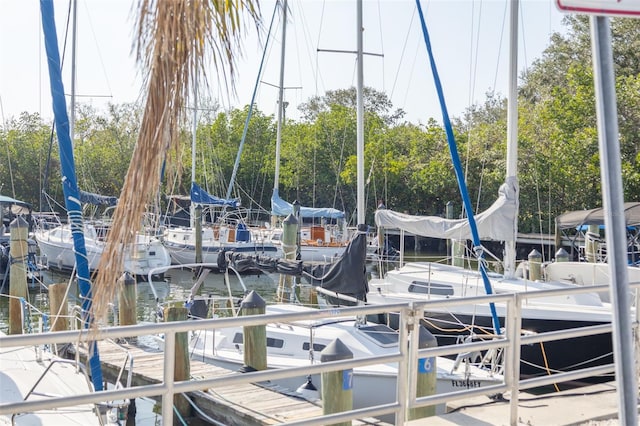 dock area with a water view