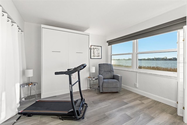 exercise room featuring a water view and light wood-type flooring