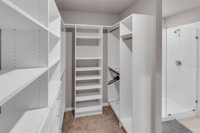 spacious closet with light carpet