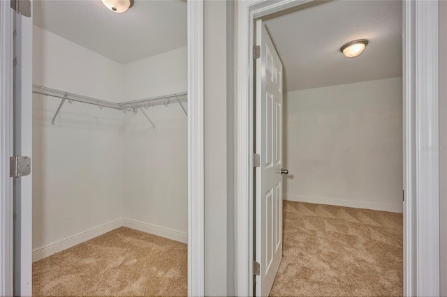 walk in closet with light carpet