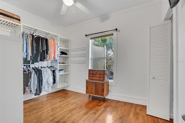 spacious closet featuring ceiling fan and hardwood / wood-style floors