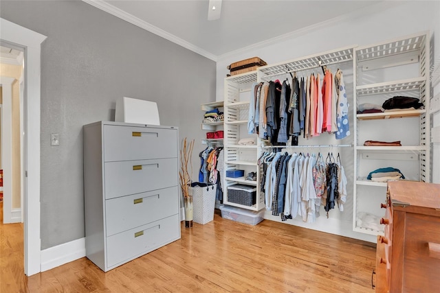 walk in closet with light hardwood / wood-style floors