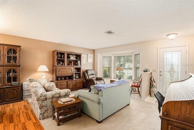 living room with a textured ceiling