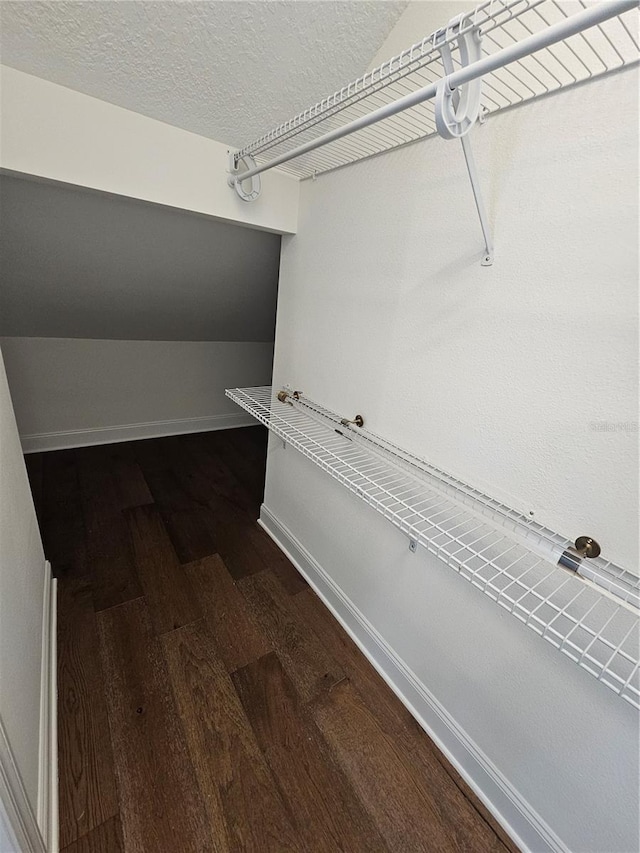 spacious closet with hardwood / wood-style flooring