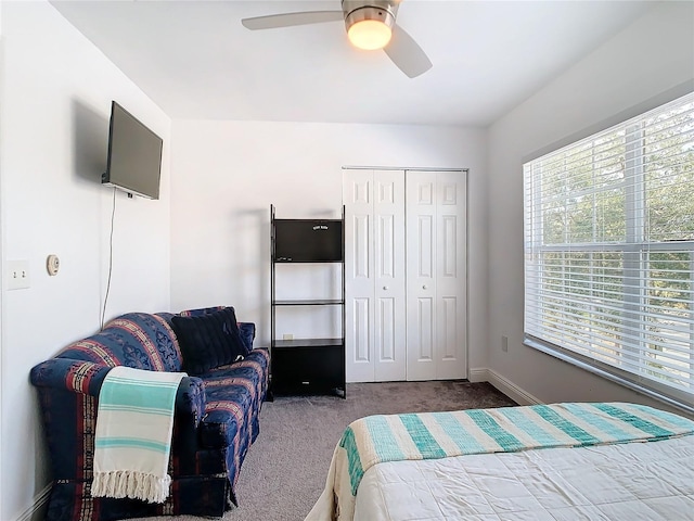 bedroom with ceiling fan, a closet, and dark colored carpet