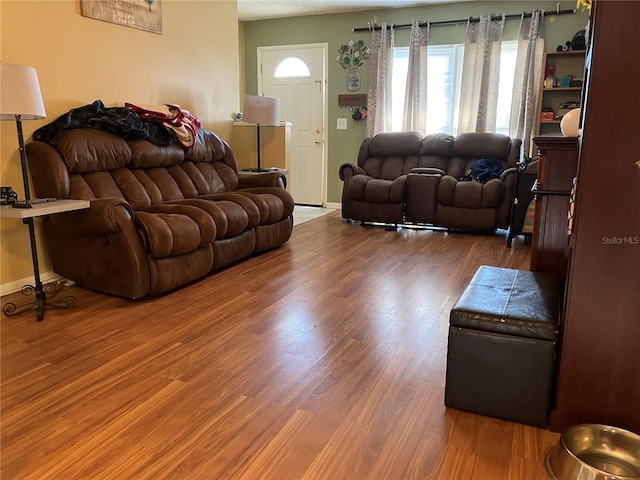 living room featuring wood-type flooring