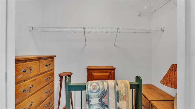view of spacious closet