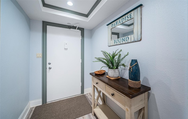 doorway to outside with a raised ceiling and light hardwood / wood-style flooring