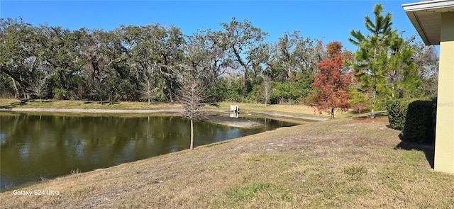 view of yard featuring a water view