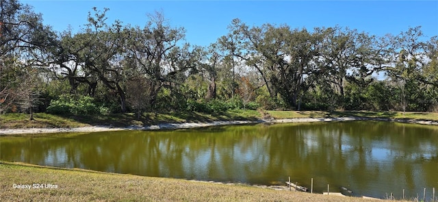 property view of water