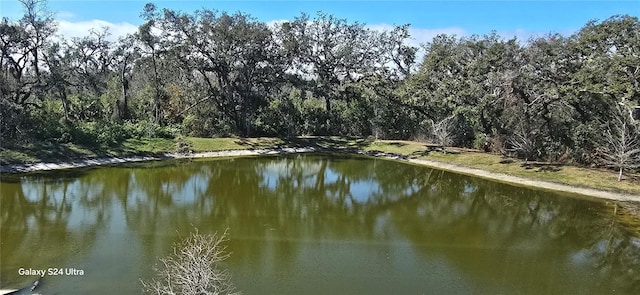 view of water feature