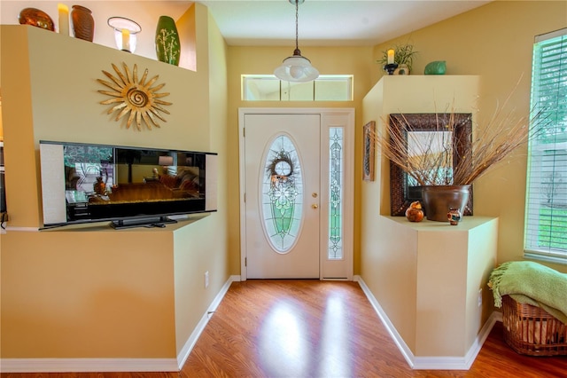 foyer entrance featuring wood-type flooring