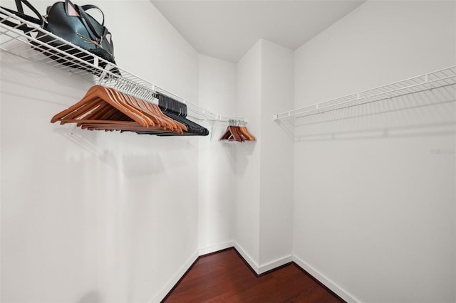 spacious closet featuring dark wood-type flooring