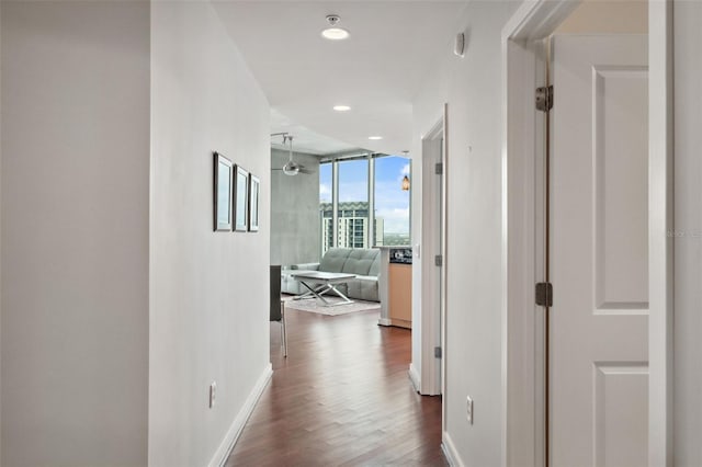 hall featuring dark hardwood / wood-style flooring and a wall of windows