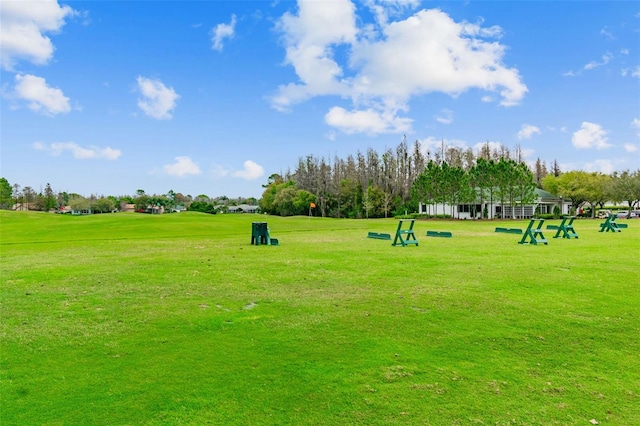 view of community with a yard