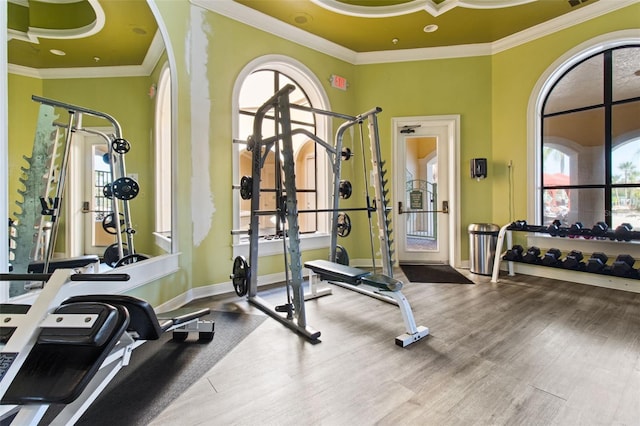 gym featuring ornamental molding, baseboards, and wood finished floors