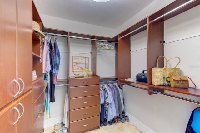 view of walk in closet