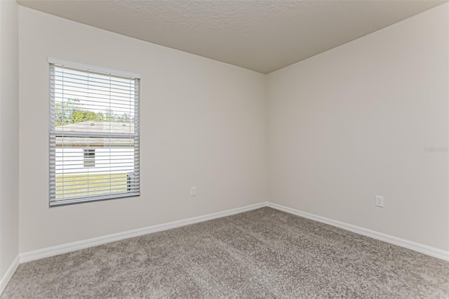 spare room featuring carpet flooring and a textured ceiling