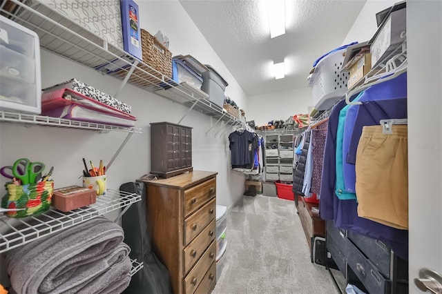 spacious closet with light carpet