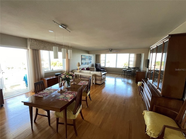 dining area with ceiling fan, hardwood / wood-style flooring, and a textured ceiling