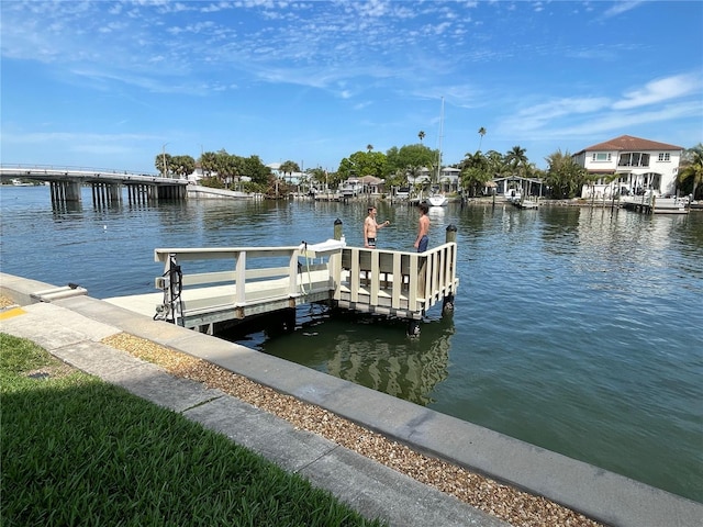 dock area with a water view