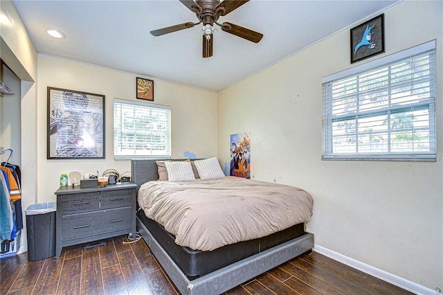 bedroom with multiple windows, dark hardwood / wood-style floors, and ceiling fan