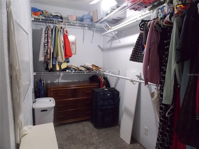 spacious closet with carpet