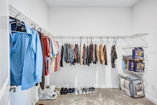 walk in closet featuring carpet floors