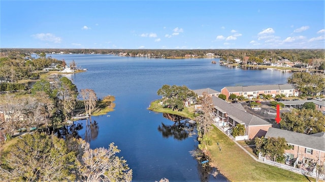 bird's eye view with a water view