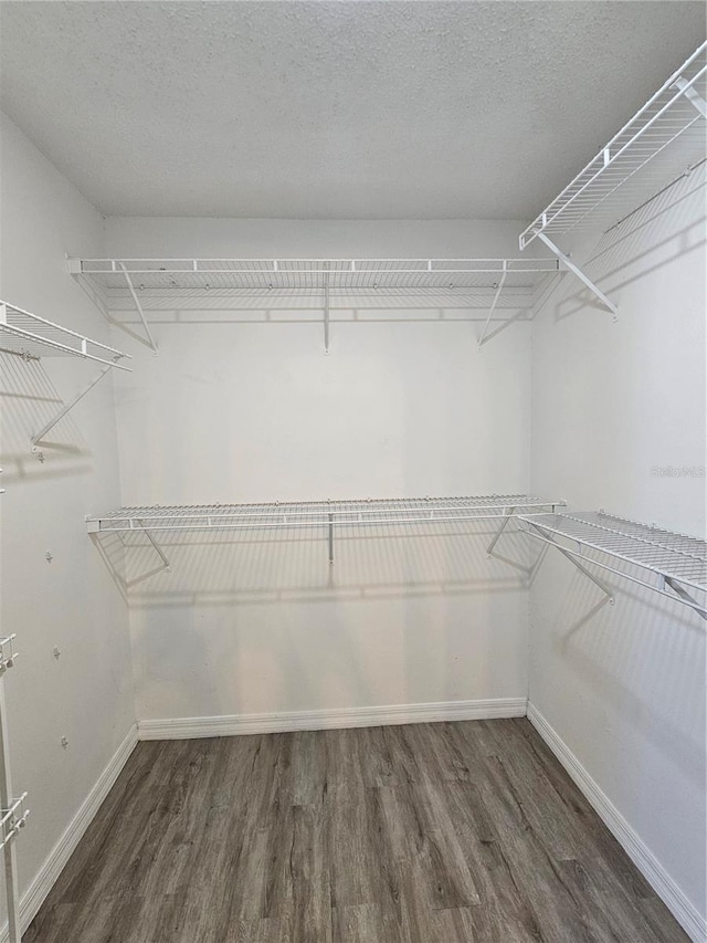 walk in closet with dark hardwood / wood-style floors