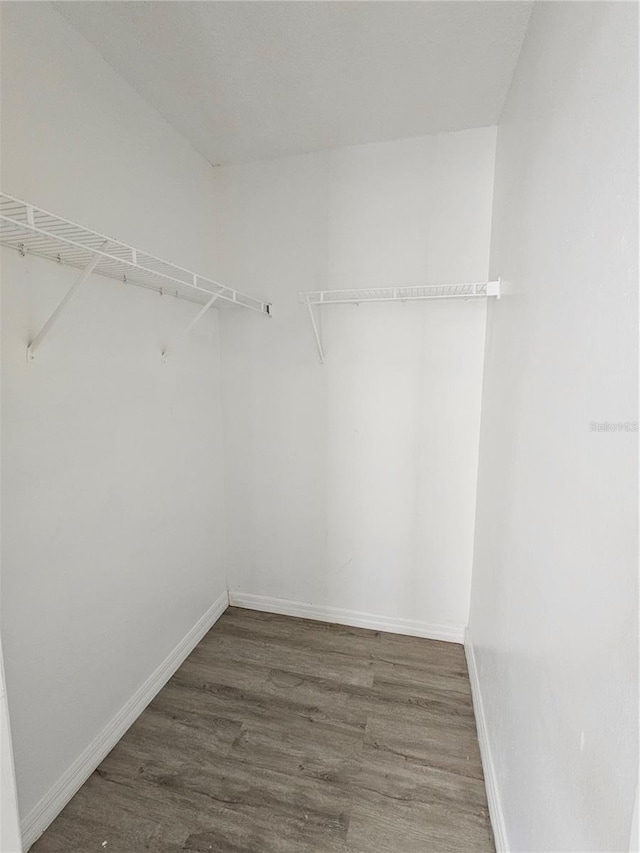 spacious closet with dark hardwood / wood-style flooring