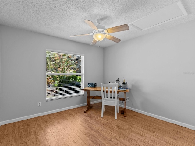 office area featuring ceiling fan, light hardwood / wood-style flooring, and a textured ceiling