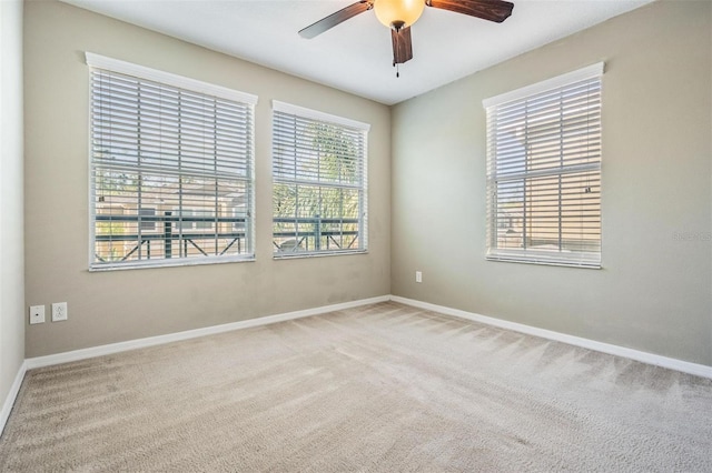 12537 Silverdale St, Tampa, FL 33626 - photo 12