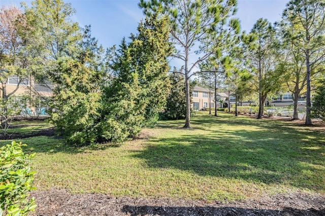12537 Silverdale St, Tampa, FL 33626 - photo 29