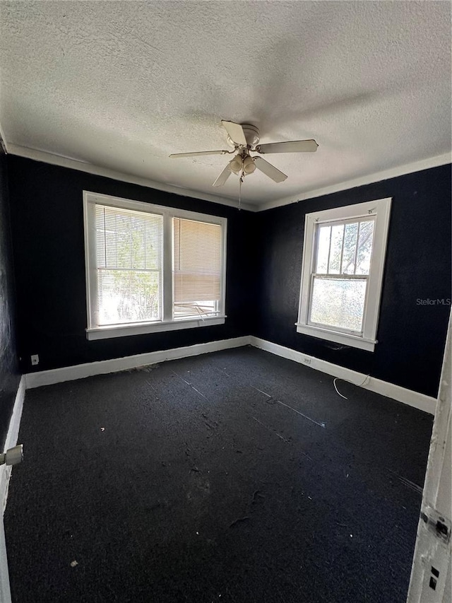 1311 11th Ave S, Saint Petersburg, FL 33705 - photo 9