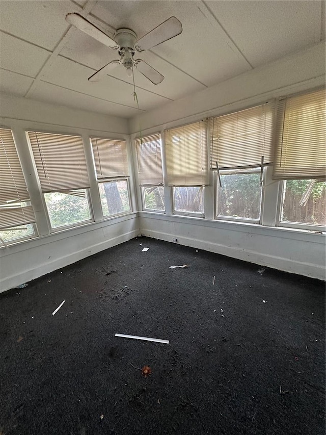 1311 11th Ave S, Saint Petersburg, FL 33705 - photo 14