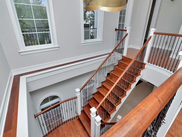 stairway with hardwood / wood-style floors